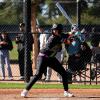 image:imageRawlings  2026  ICON The Chosen One Baseball Bat  BBCOR  3 Drop  2 58 Barrel  1 Pc CompositeOne Color