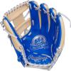 image:imageRawlings  PRO Preferred Baseball Glove  Sizes 115  1275  Multiple StylesRoyal  Pro I Web