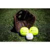 image:imageRawlings  Player Preferred Adult Ball Glove  BaseballSlowpitch Softball  Multiple StylesPull Strap  Basket Web  Brown