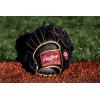 image:imageRawlings  R9 Series Baseball Glove2Piece Solid Web  Black  Gold