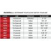 image:imageRawlings  Sandlot Baseball Glove  Sizes 1151275  Multiple Styles115  Infield