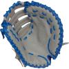 image:imageRawlings  Select PRO LITE Youth Baseball Glove  Pro Player Models  Sizes 105  1225  Multiple StylesFreddie Freeman  Single Post Web  Grey