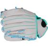 image:imageRawlings  Sure Catch Baseball amp Softball Glove  TBall Youth amp Adult Rec Models  Multiple Sizes amp StylesFrancisco Lindor Model