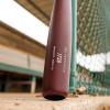 image:imageRawlings  Torpedo Barrel JT39 Birch Wood Baseball Bat  Pro Preferred Collection34 Inch