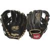 I-Web| Black / Gold