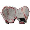Mike Trout Model