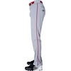 image:imageRawlings  PRO 150 Series Baseball Pants  Full Length SemiRelaxed Fit  Youth Sizes  Piped  Multiple ColorsGrey  Red