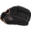 image:imageRawlings  R9 Fastpitch Softball Glove  Sizes 115  13  Multiple StylesBlack  Double Lace Basket Web
