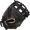 image:imageRawlings  R9 Fastpitch Softball Glove  Sizes 115  13  Multiple StylesBlack  Pro H Web
