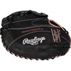 image:imageRawlings  R9 Fastpitch Softball Glove  Sizes 115  13  Multiple StylesBlack  Pro H Web