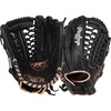 Black | Modified Trapeze Web