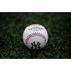 image:imageRawlings  2026 MLB Baseball with Team Logo  All 30 MLB Teams AvailableTampa Bay Rays