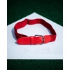 image:imageRawlings  Elastic Game Day Belt  BaseballSoftball  AdultYouth  Multiple ColorsLightorange