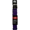 image:imageRawlings  Elastic Game Day Belt  BaseballSoftball  AdultYouth  Multiple ColorsPurple