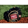 image:imageRawlings  InfieldCatcher Training Gloves  BaseballSoftball  Multiple StylesBlackGold  Single Post Web