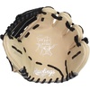 image:imageRawlings  InfieldCatcher Training Gloves  BaseballSoftball  Multiple StylesCamelBlack  Pro I Web