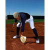 image:imageRawlings  InfieldCatcher Training Gloves  BaseballSoftball  Multiple StylesCamelBlack  Solid Web