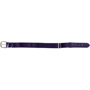 image:imageRawlings  Elastic Game Day Belt  BaseballSoftball  AdultYouth  Multiple ColorsPurple