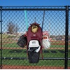image:imageRawlings  Franchise 20 Players Backpack  Baseball amp Softball  Multiple Colors  BaseballSoftballMAROON