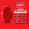 image:imageRawlings  Clout Baseball Batting Gloves  Adult Sizes  Multiple ColorsWHITEWHITE