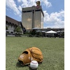 image:imageRawlings Pro Preferred Infield Baseball Gloves  Multiple Sizes amp ColorsTan  Dual Hinge Web