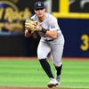 image:imageRawlings Pro Preferred Infield Baseball Gloves  Multiple Sizes amp ColorsVolpe  Camel  Navy Pro I Web