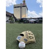 image:imageRawlings Pro Preferred Outfield Baseball Gloves  Multiple Sizes amp ColorsBryant  Camel  Pro H Web