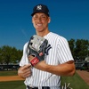 image:imageRawlings Pro Preferred Outfield Baseball Gloves  Multiple Sizes amp ColorsJudge  Navy  Grey  Pro H Web
